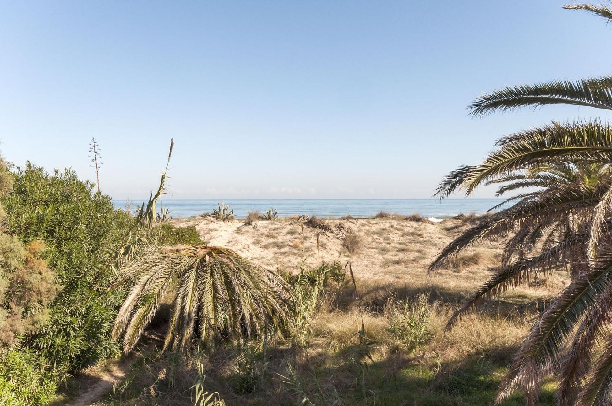 Cotton Daire Playa Dış mekan fotoğraf